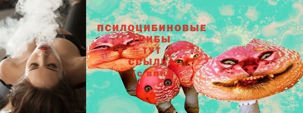 СК Алексин